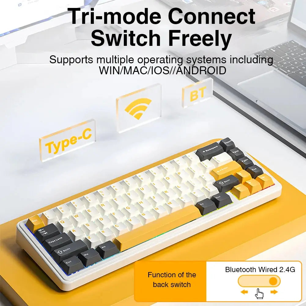 AULA F65 65% Layout Hot-Swap Gasket-mounted Wireless Mechanical Keyboard Macro Software RGB Mini Gaming Keyboard for Mac/Win Dropshipman